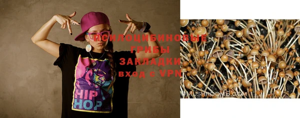 эйфоретик Щучье